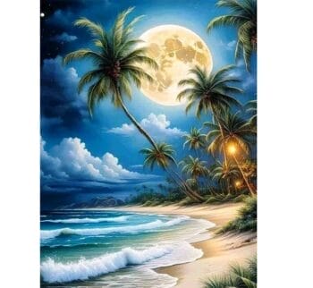 5d Diamond painting Wonder night full round drill 30*40 لوحة الليل الرائع رسم بالماس