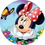 5d Diamond Painting Boshra Minnie full Round Drill 45*45 لوحة دائريه ميميالرسم بالماس