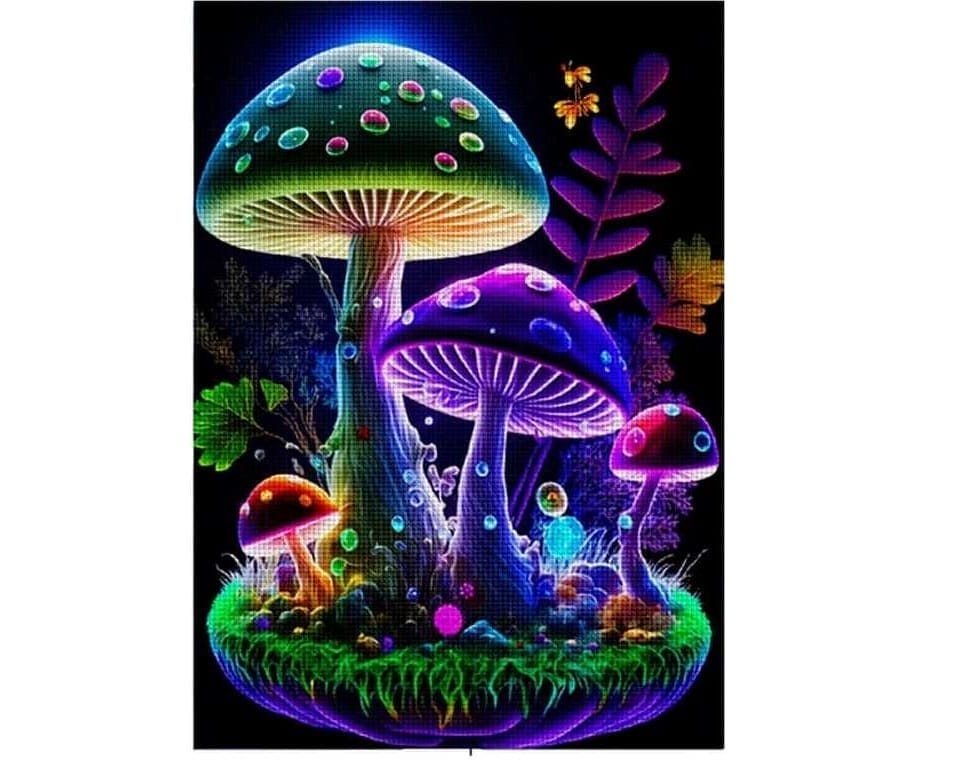 received_5926961034083323 5d Diamond painting Boshra Dreamy Neon Mushroom full Round ab drill 50*70 لوحة الألما الماشروم المضئ رسم بالماس