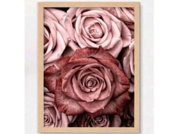 5d Diamond painting Roses full round drill 35*45 لوحة الورد الجوري رسم بالماس