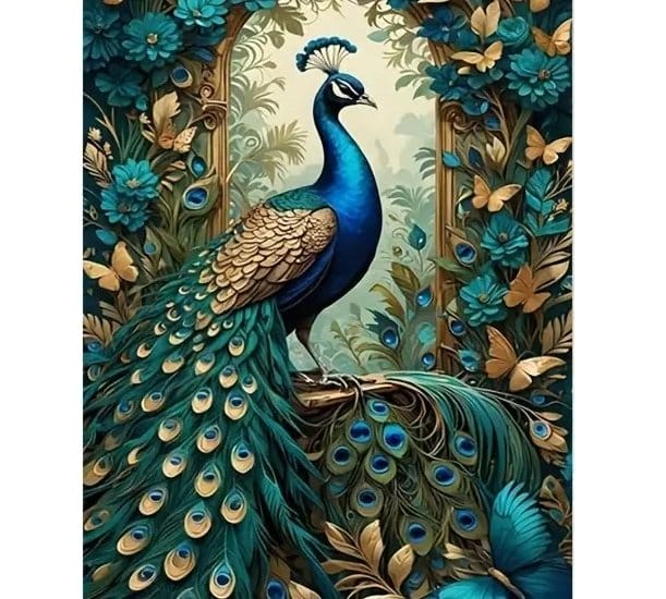 A123-45X55CM--2