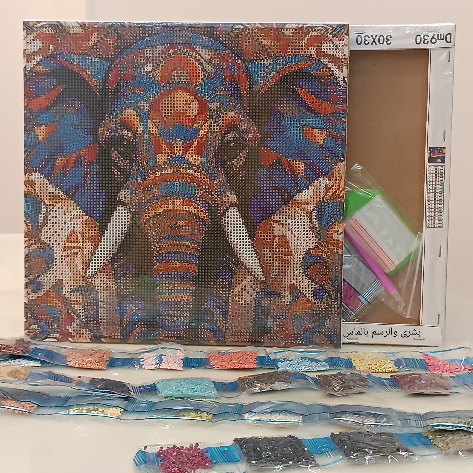 لوحه الفيل رسم بالماس elephant 30*30 diamond painting Egypt