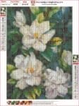 A036-30X40CM–jasmine diamond painting